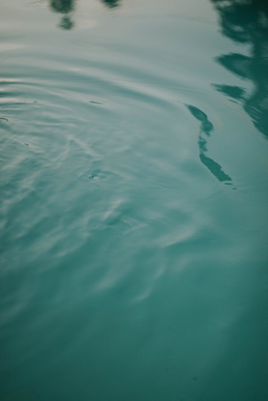 reflection in a lake