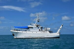 an expedition boat in the sea